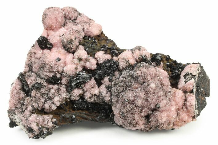 Sparkling Botryoidal Rhodochrosite w/ Bladed Hematite - Mexico #240823